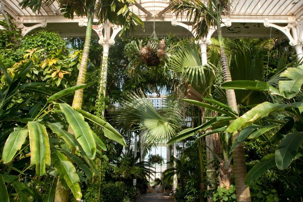 Can the famous greenhouse get greener?