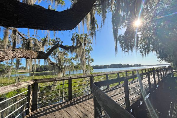 The Liberty Trail boardwalk meanders through cypress and palm trees along Lake Henderson.