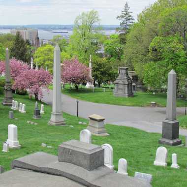 Overlooking New York Harbor.