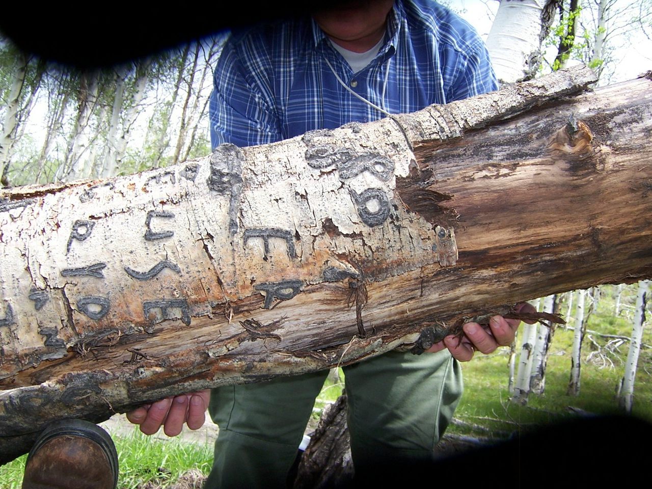 Researchers are rushing to document carvings made by Basque herders, before they're gone. 