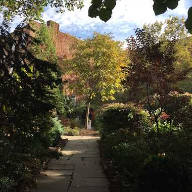 Barrow Street Garden