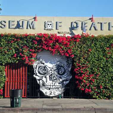 Museum of Death