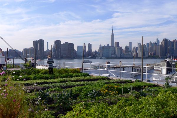 View from the Brooklyn Navy Yard location